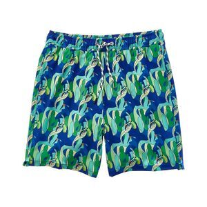 Snapper Rock Mens  Toucan Jungle Sustainable Swim Short, Blue